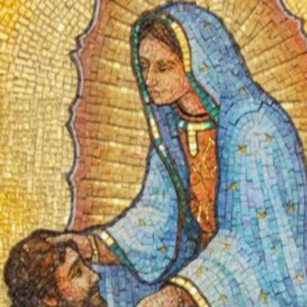 Meet your Posher, Daniela